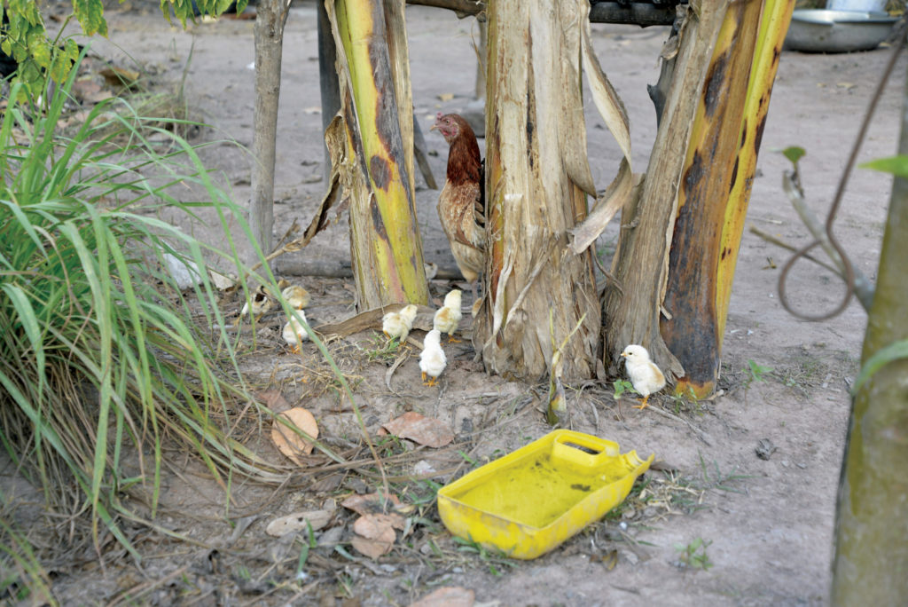 5. CAM 2016 Kampot - Prech Village Roof Repair 3