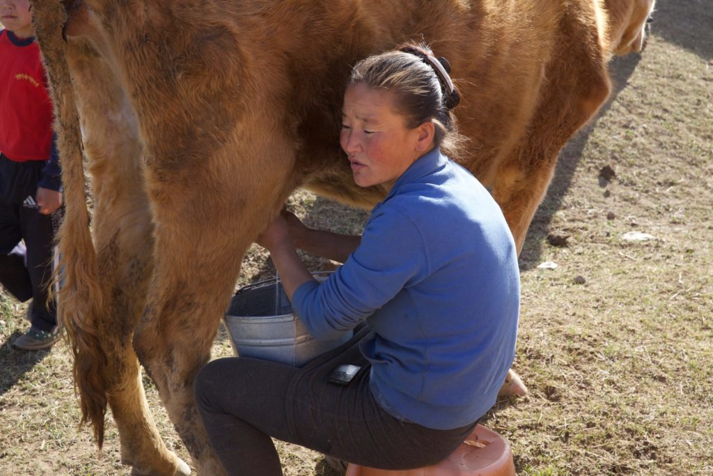 Lhagvajav and Dolgorsuren work as laborers on a dairy farm. But they have greater hopes for their children. 