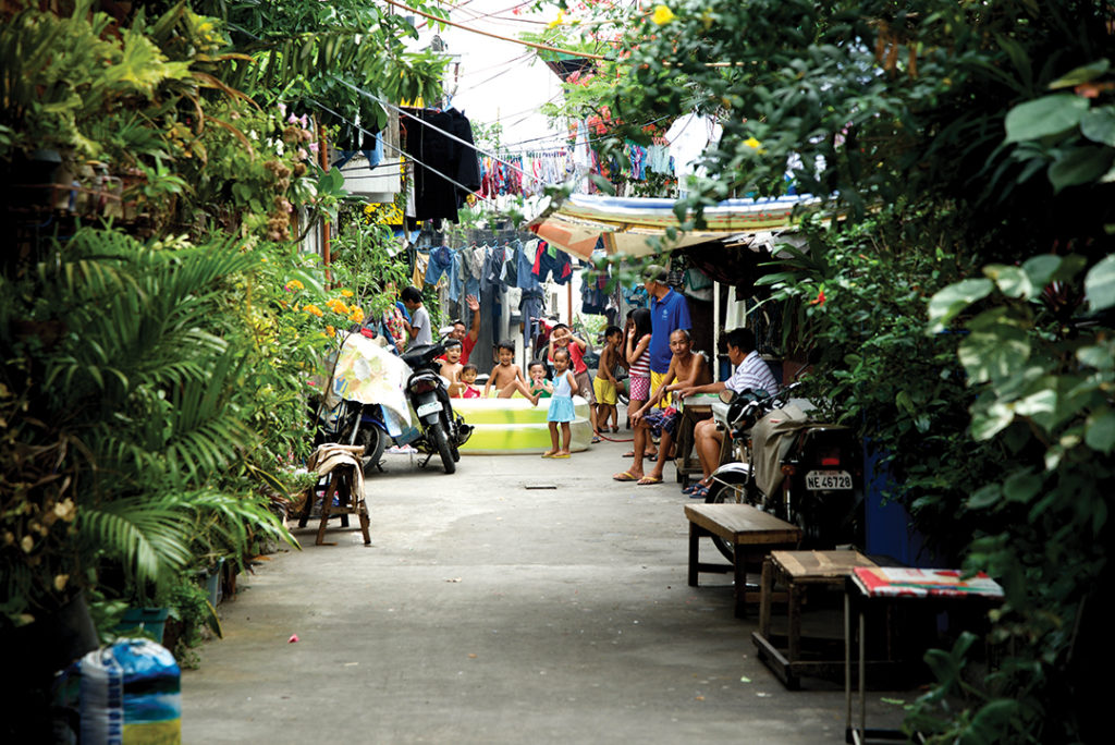busy street lined with trees