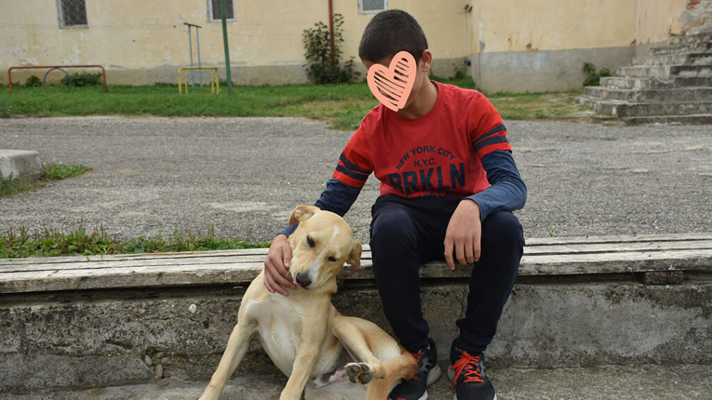 a young boy pets a dog
