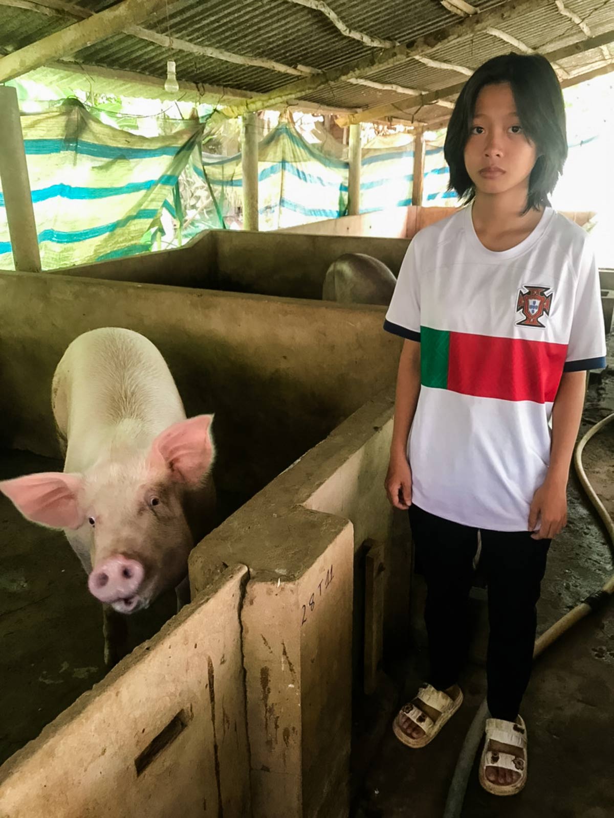 a young girl stands next to a pig that was given by donors via Gifts of Hope