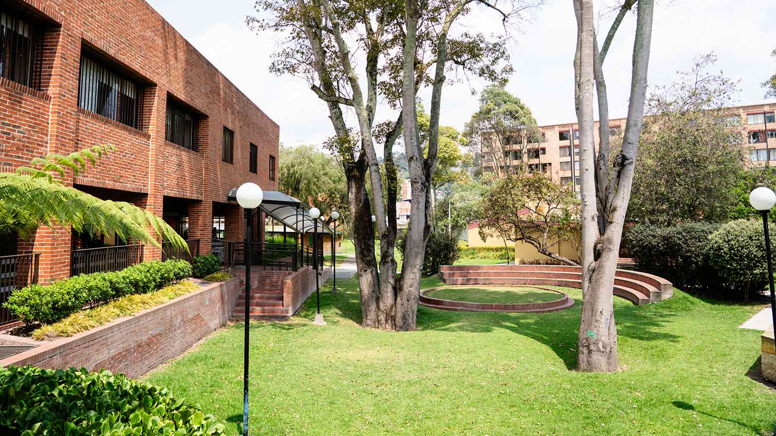 green grass and trees at a children's center in Bogotá, Colombia