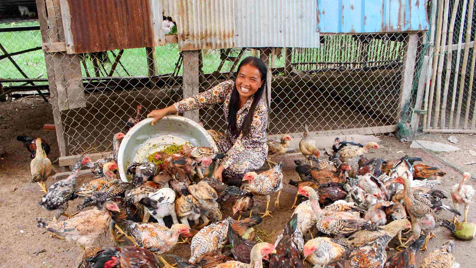 a mom feeds her flock of chickens in a coop