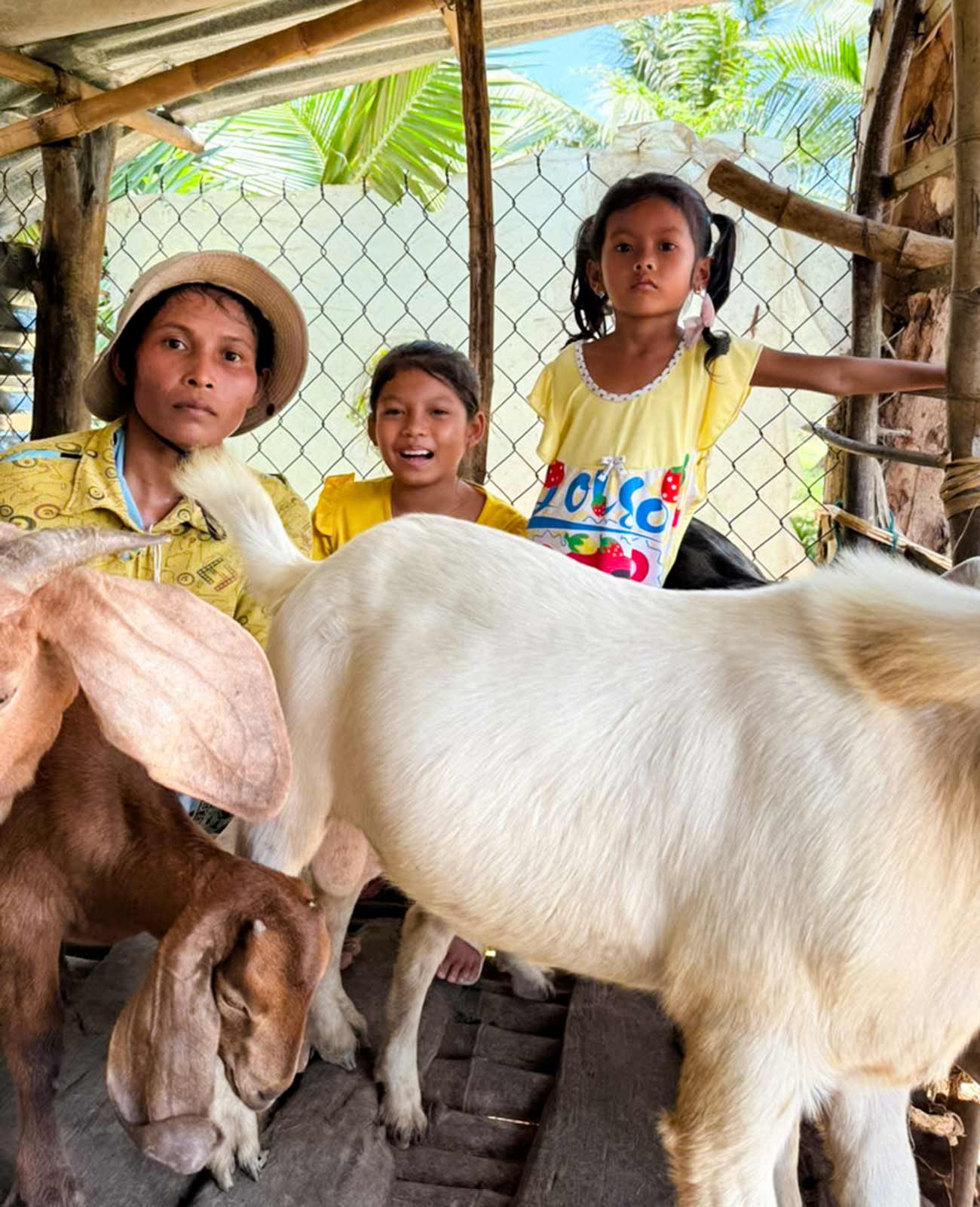 a mom and her daughters stand next to their goats