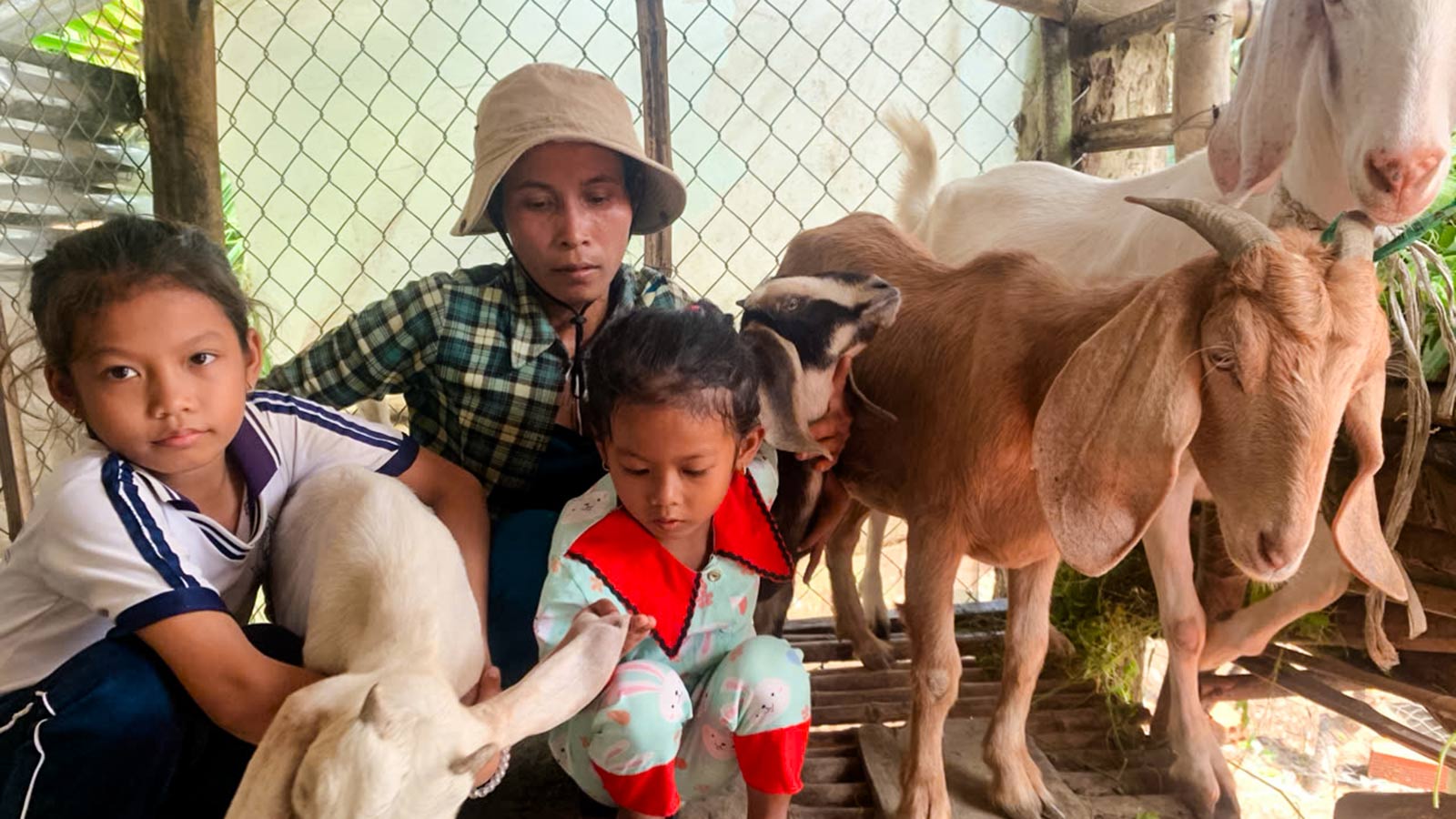 a mom and her daughters stand next to their goats