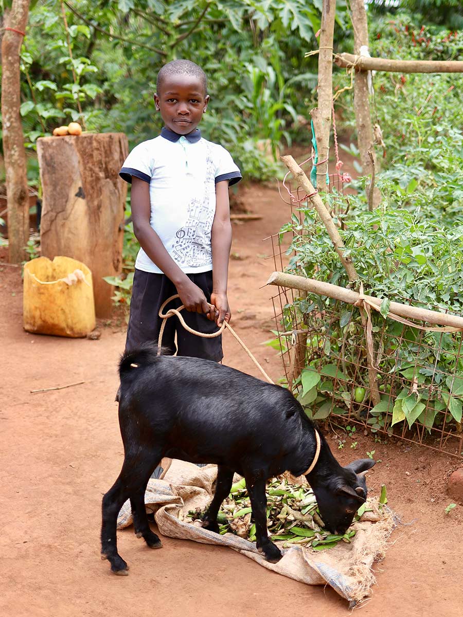 a little boy in a white shirt holds a black goat by a rope in rural Uganda